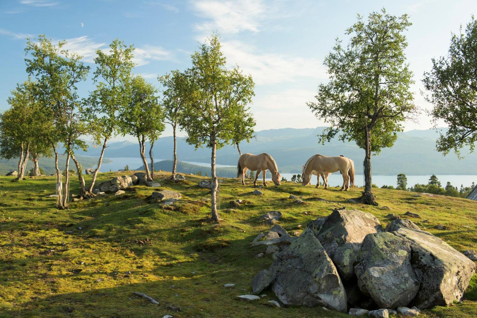 Langedrag Naturpark As Tunhovd ภายนอก รูปภาพ